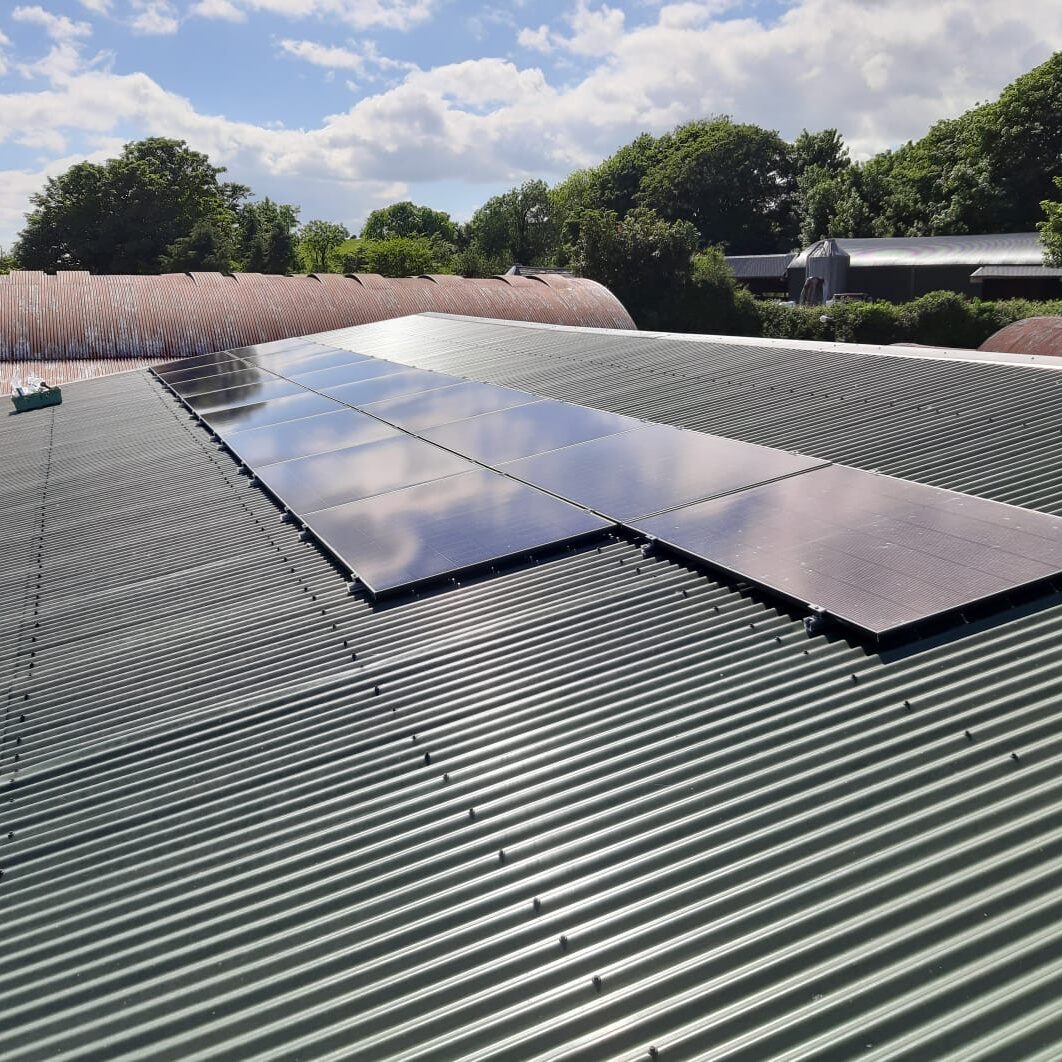 fc58cef6-70e4-410e-8461-7e13d6c21335